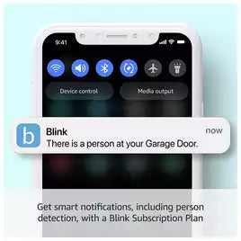 Blink Mini 2 Indoor/Outdoor Plug-In Camera